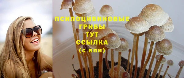 стафф Алексеевка