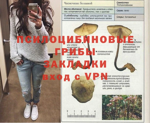 спайс Алзамай